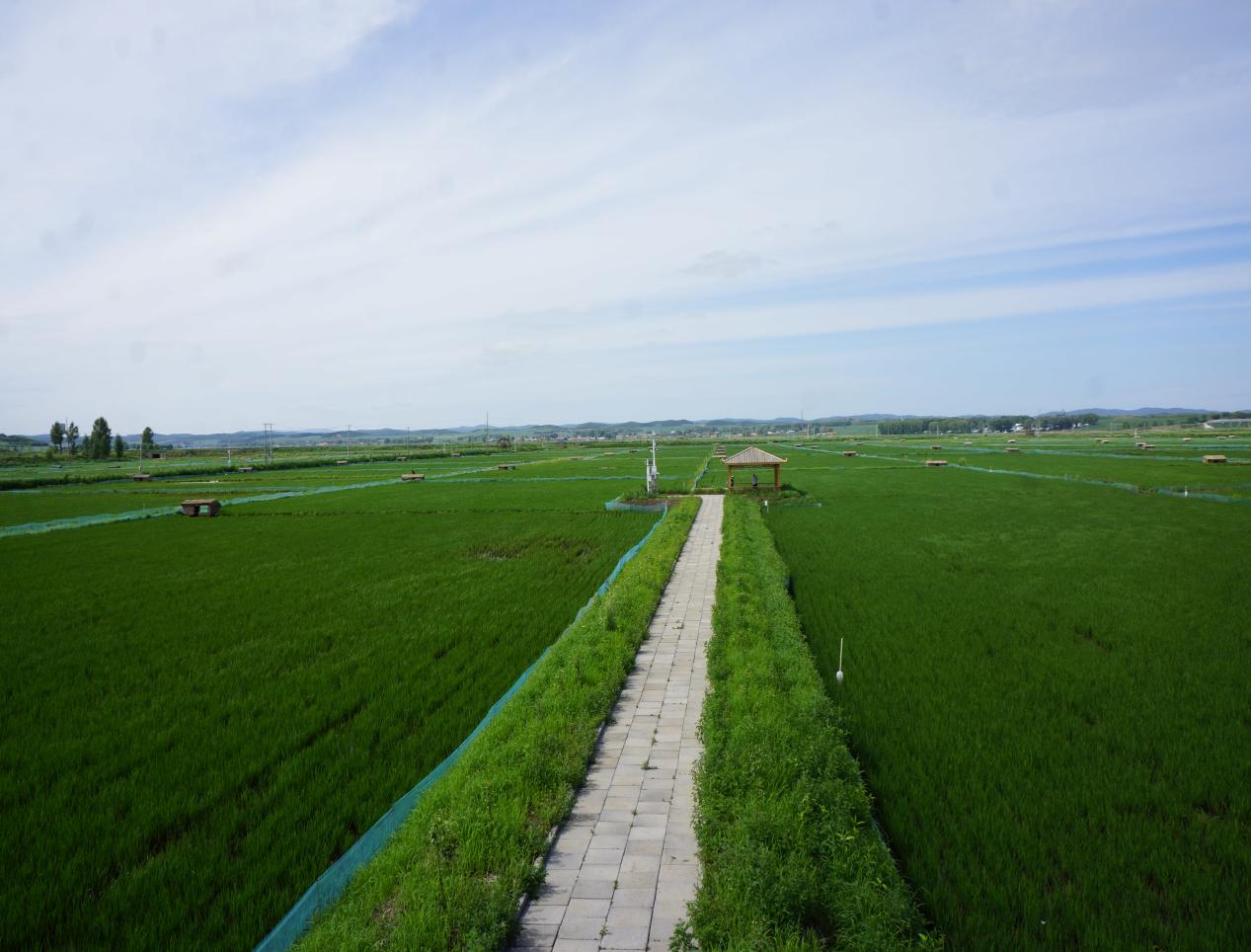 1711006516756426.png 圖片2.png